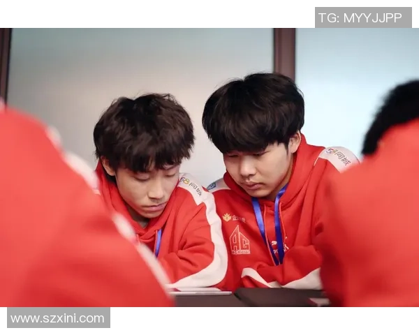 王者荣耀战队IG的团队配合与战术分析深度探讨