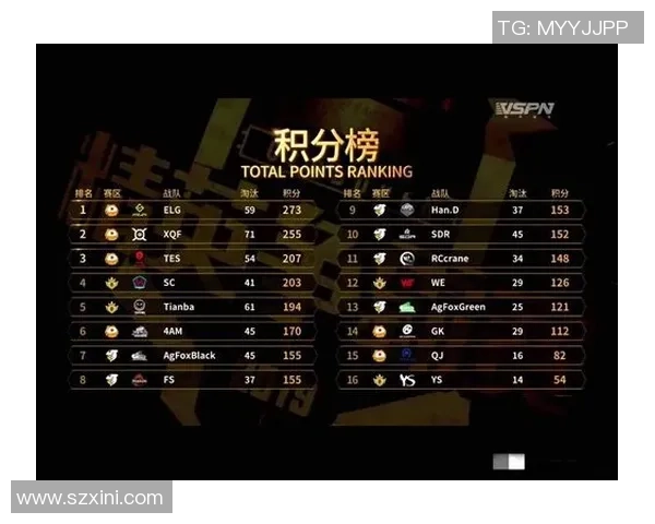 聚焦和平精英TES战队灵活战术解析与团队协作探讨